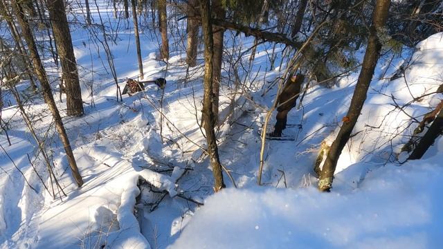НОЧЬ ПОД СКАЛОЙ в жуткий холод. БЕЗ ЕДЫ под открыты небом СЛОМАЛСЯ СНЕГОХОД смотреть онлайн