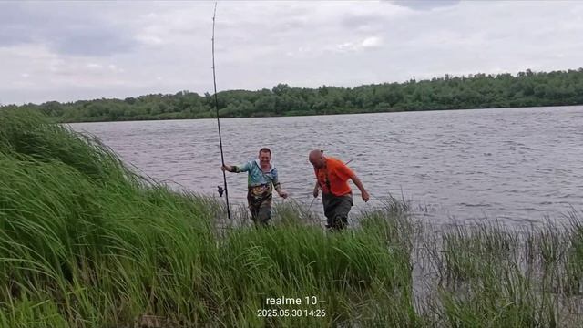 ЛОВЛЯ САЗАНА НА РЕКЕ ДОН!!! ЭТОТ МОНСТР СЛОМАЛ ПОДСАК!!! смотреть онлайн