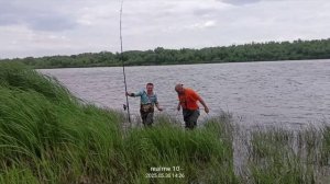 ЛОВЛЯ САЗАНА НА РЕКЕ ДОН!!! ЭТОТ МОНСТР СЛОМАЛ ПОДСАК!!!