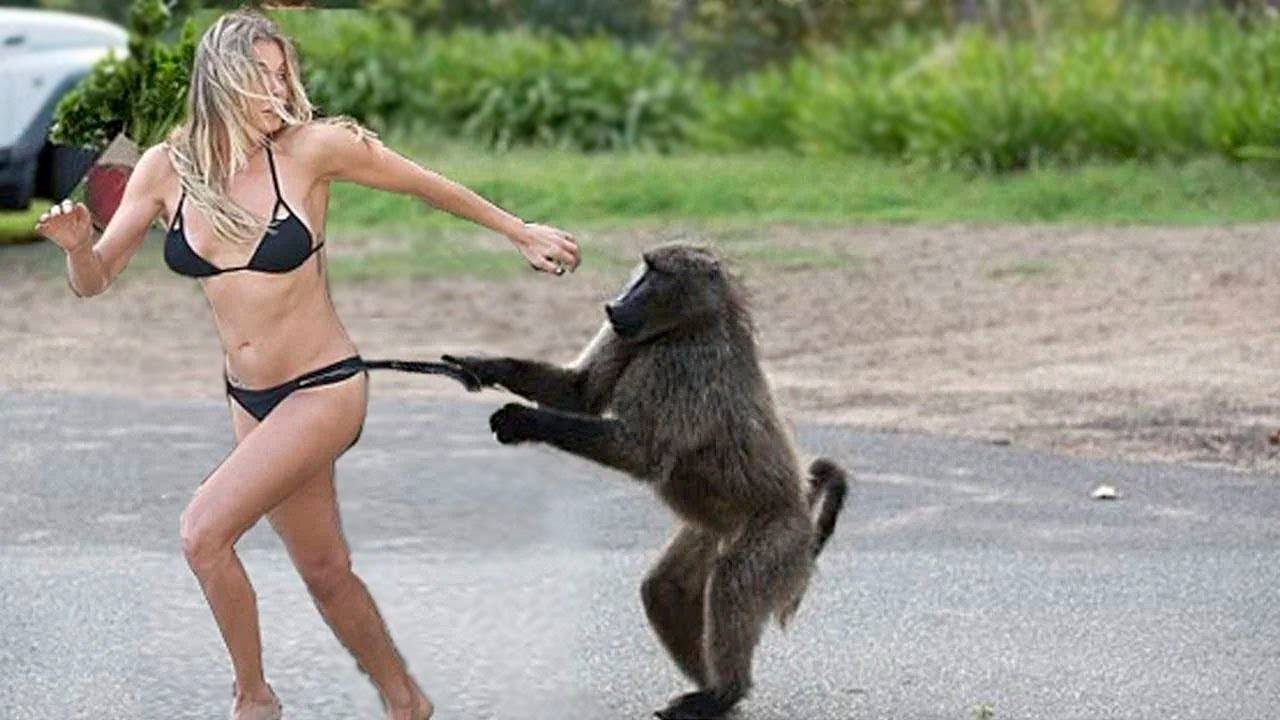 #29 😆😆😆ТОПОВЫЕ СМЕШНЫЕ МОМЕНТЫ С ЖИВОТНЫМИ / ПОПРОБУЙ НЕ ЗАСМЕЯТЬСЯ😆😆😆 смотреть онлайн