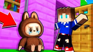 Я ПРИЮТИЛ ИГРУШКУ ЛАБУБУ В МАЙНКРАФТ МУЛЬТИК LABUBU