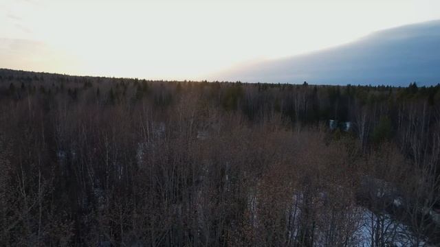 ЖИВЕМ В ЛЕСУ и СТРОИМ ДОМ в 2 ЭТАЖА | НАША ЛЕСНАЯ БИБЛИОТЕКА | ТРЕСНУЛА ПЕЧЬ | Лесная ЗАИМКА смотреть онлайн