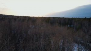 ЖИВЕМ В ЛЕСУ и СТРОИМ ДОМ в 2 ЭТАЖА | НАША ЛЕСНАЯ БИБЛИОТЕКА | ТРЕСНУЛА ПЕЧЬ | Лесная ЗАИМКА