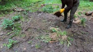 НАШ ДОМ В ЛЕСУ СОЖГЛИ БРАКОНЬЕРЫ | А-фрейм и Заимка сгорели дотла