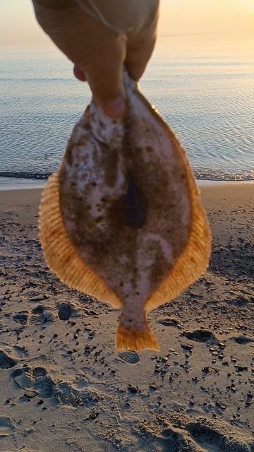 сказочная рыбалка на закате смотреть онлайн