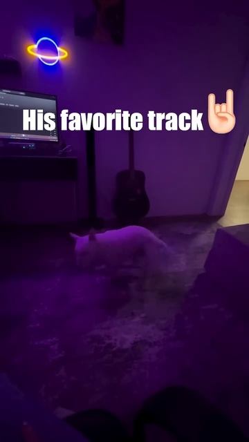 Proof That Even Dogs Love Metal смотреть онлайн