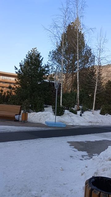 Платоныч