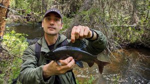 Рыбалка на Хариуса/ Попали на клев! Мухи из рыбьей кожи/ встретили медведя