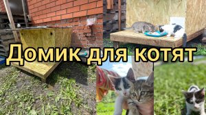✅Построил дом для котят  #самоделка #котики