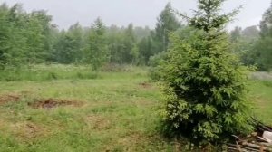 Дождь в Чисмене 16.06.25! Льет как из ведра! #6