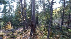 КАМЕННЫЙ ДОМ своими РУКАМИ - МЕДВЕДЬ НАПАЛ на КАМЕРУ | СТРОИМ окно, дровяник, дверь | ХРОНИКИ