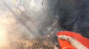 ТАКОЙ ДОМ в ЛЕСУ МЫ ЕЩЕ НЕ ВСТРЕЧАЛИ | БОРЕМСЯ С ЛЕСНЫМИ ПОЖАРАМИ | КОРМИМ ШОКОЛАДОМ КАБАНОВ