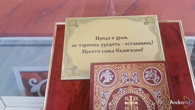 Мамаев Курган.... Белки... 🐿️