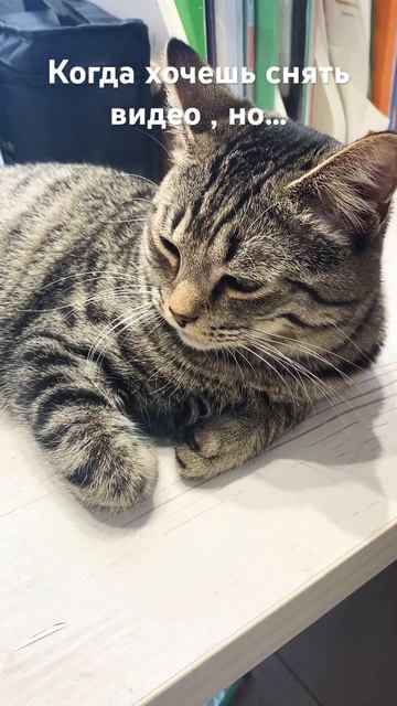 Хахаха #вреки #music #diy смотреть онлайн