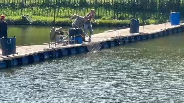 Поимка Крупного Осетра смотреть онлайн