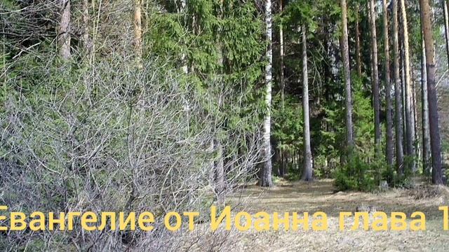 Библия Евангелие от Иоанна глава 18 смотреть онлайн