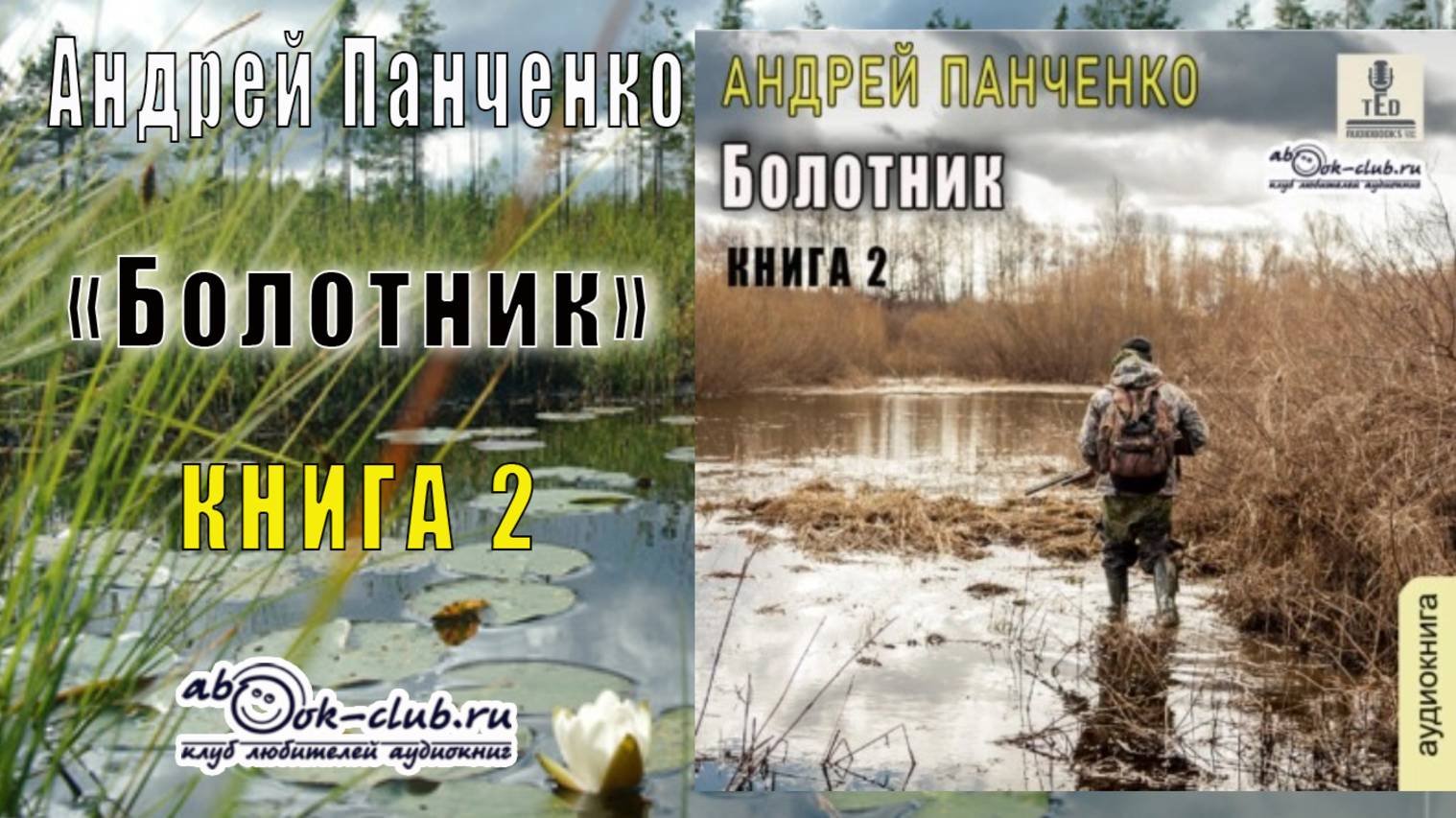 Андрей Панченко "Болотник" (Книга 2)