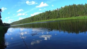 Удачная рыбалка | Successful River Fishing