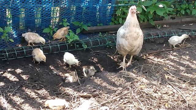 Заботливая мамочка смотреть онлайн