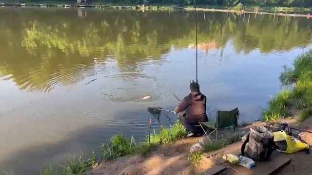 Поимка смотреть онлайн