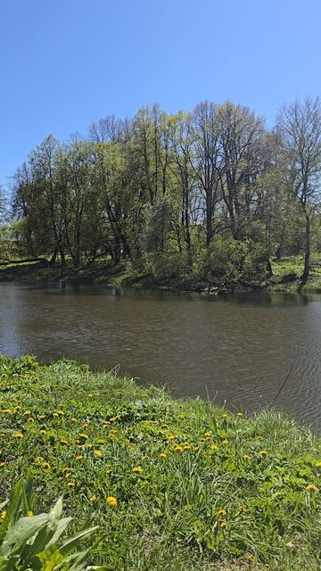 Вязьма 2025 #travel смотреть онлайн