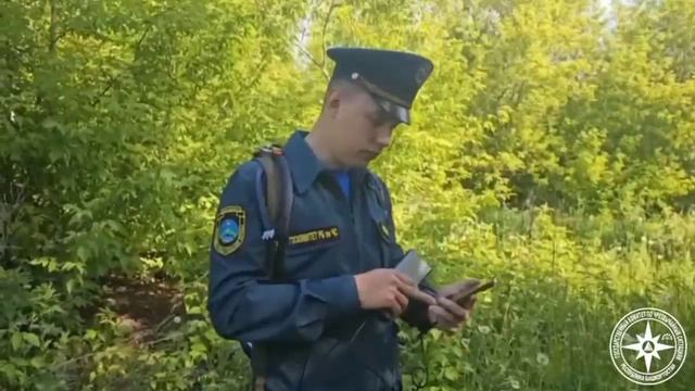 Если вы собрались выбраться в лес на прогулку, то соблюдайте основные правила безопасности смотреть онлайн