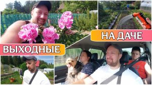 ВЛОГ Всей семьёй на даче😊Наконец-то совпали выходные✌️Что нового у нас на даче/На даче как вдеревне