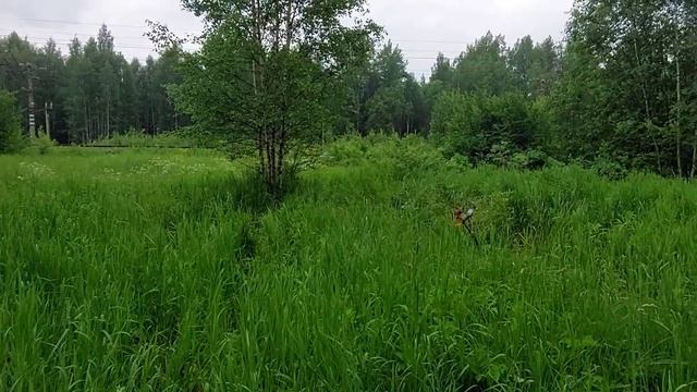 Металлокоп на забытой станции с Nokta Find X Pro и  TX 850