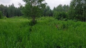 Металлокоп на забытой станции с Nokta Find X Pro и  TX 850