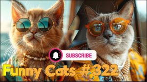 Смешные коты #322