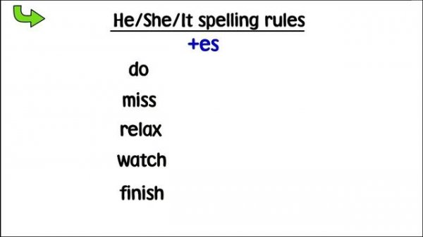 Present Simple: Positive (+) and Negative (-); Level: elementary