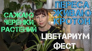 Сажаю черенки растений/Пересадка кротона/ЦветариумФест