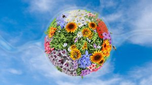 Смотри какая красота (кавер). Шикарный видеоклип на красивую песню