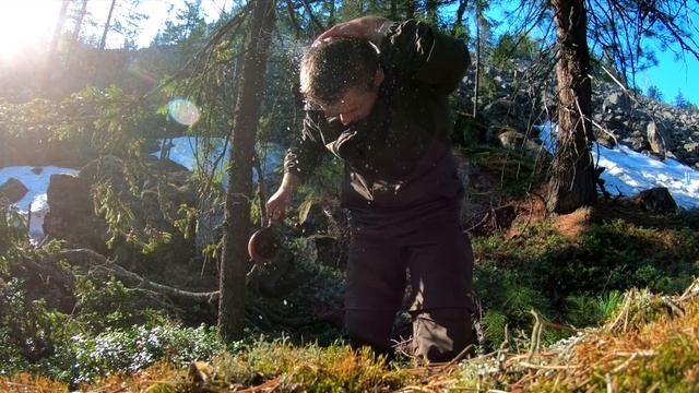 ВЕРНУЛИСЬ В КАМЕННЫЙ ДОМ ПОСЛЕ СУРОВОЙ ЗИМЫ А ТАМ... смотреть онлайн
