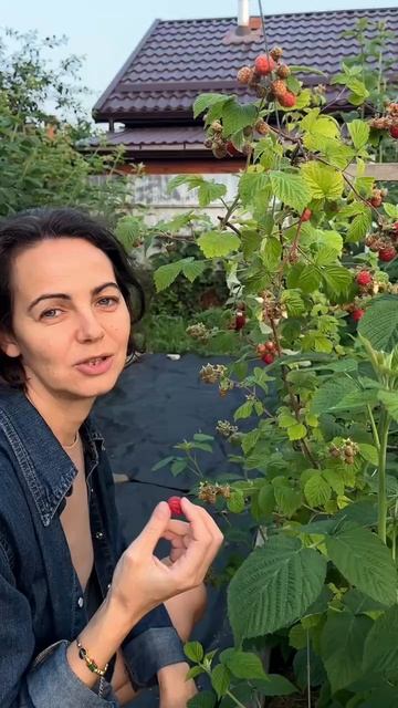 Про нейросети и картинки для создания дизайнов, рекламка смотреть онлайн