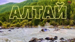 АЛТАЙ на квадроциклах и багги