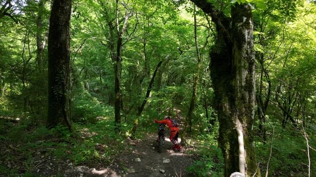DJI_0026 смотреть онлайн