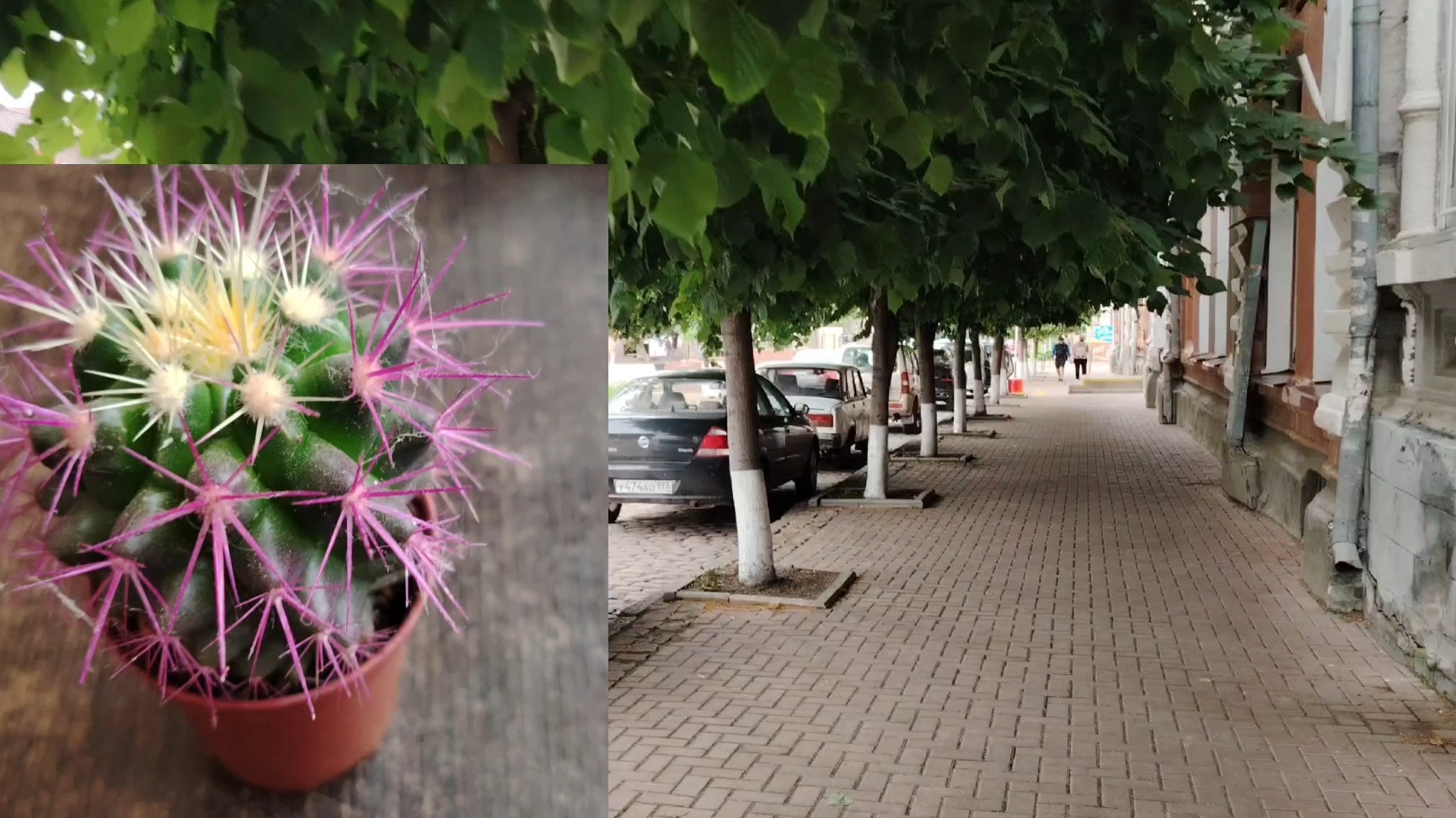 Ейск ! Наконец то пешая прогулка, немного о моём здоровье и состоянии ! 16-06-2025 смотреть онлайн