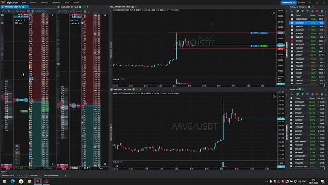 1-Aaveusdt-Long-Stoploss-16-06-2025-09-8-40-00