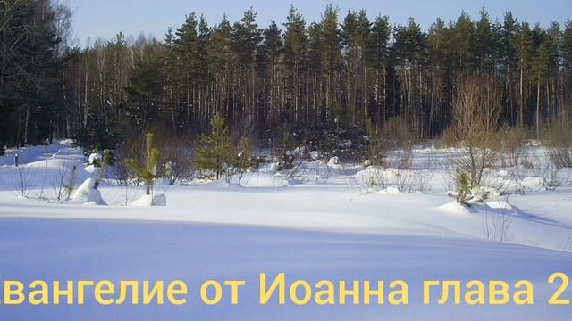 Библия Евангелие от Иоанна глава 21 смотреть онлайн