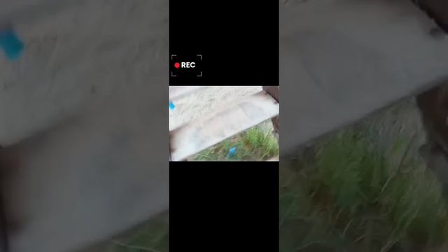 Фильм Androhaha0 #8 серия(продолжение 7 серии).Угар 2025