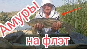 Здесь водятся амуры, карпы и караси. Рыбалка на Утином озере в июне.