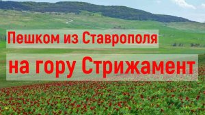 Пешком из Ставрополя на гору Стрижамент