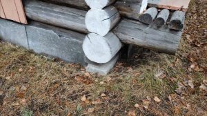 ЭТА НАХОДКА В ЛЕСУ ШОКИРОВАЛА НАС! НОЧЬ В ЧУЖОМ ДОМЕ - ТАЁЖНАЯ ИЗБА спустя 50 ЛЕТ - ЛЕСНЫЕ 2021