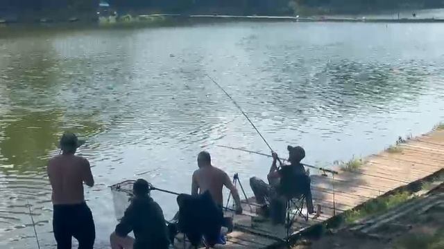 Поимка Форели на кукурузу смотреть онлайн