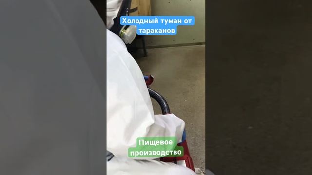 Тараканы на пищевом предприятии. Обследование+мониторинг+ холодный туман. Dez-delo.ru