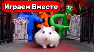 Умный Хомяк в подземелье с МОНСТРАМИ ! Выбираемся вместе из лабиринта с ловушками !