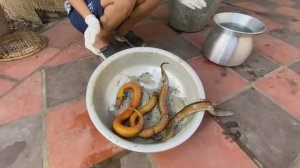 Жарить острый угорь по-деревенски. Рецепт приготовления угря