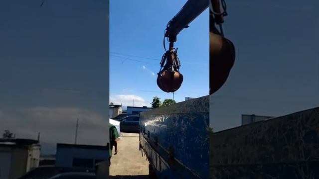1000256738.mp4 смотреть онлайн
