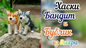 Хаски Бандит и Бублик из бисера / объёмное бисероплетение / как плести из бисера / собака из бисера